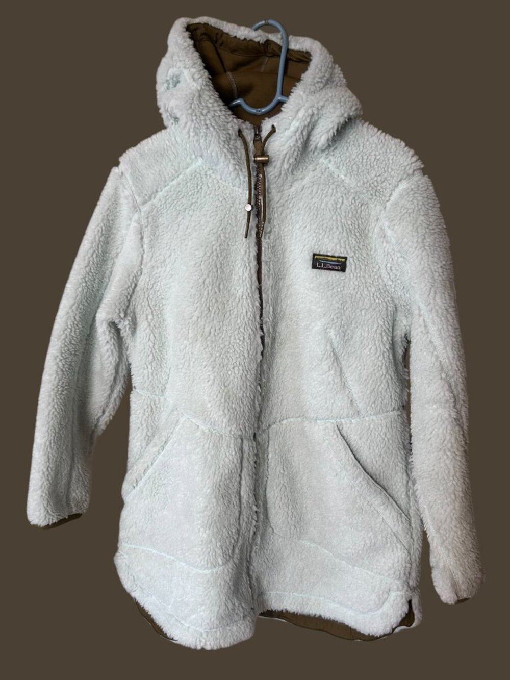 L.L.Bean Mountain Pile Fleece Coat Hooded Sherpa Women’s Large Petite Gorpcore